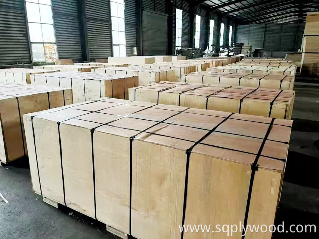 9/12/18mm Melamine Film Faced Poplar Pine Birch Marine Laminated Veneer Shuttering Plywood